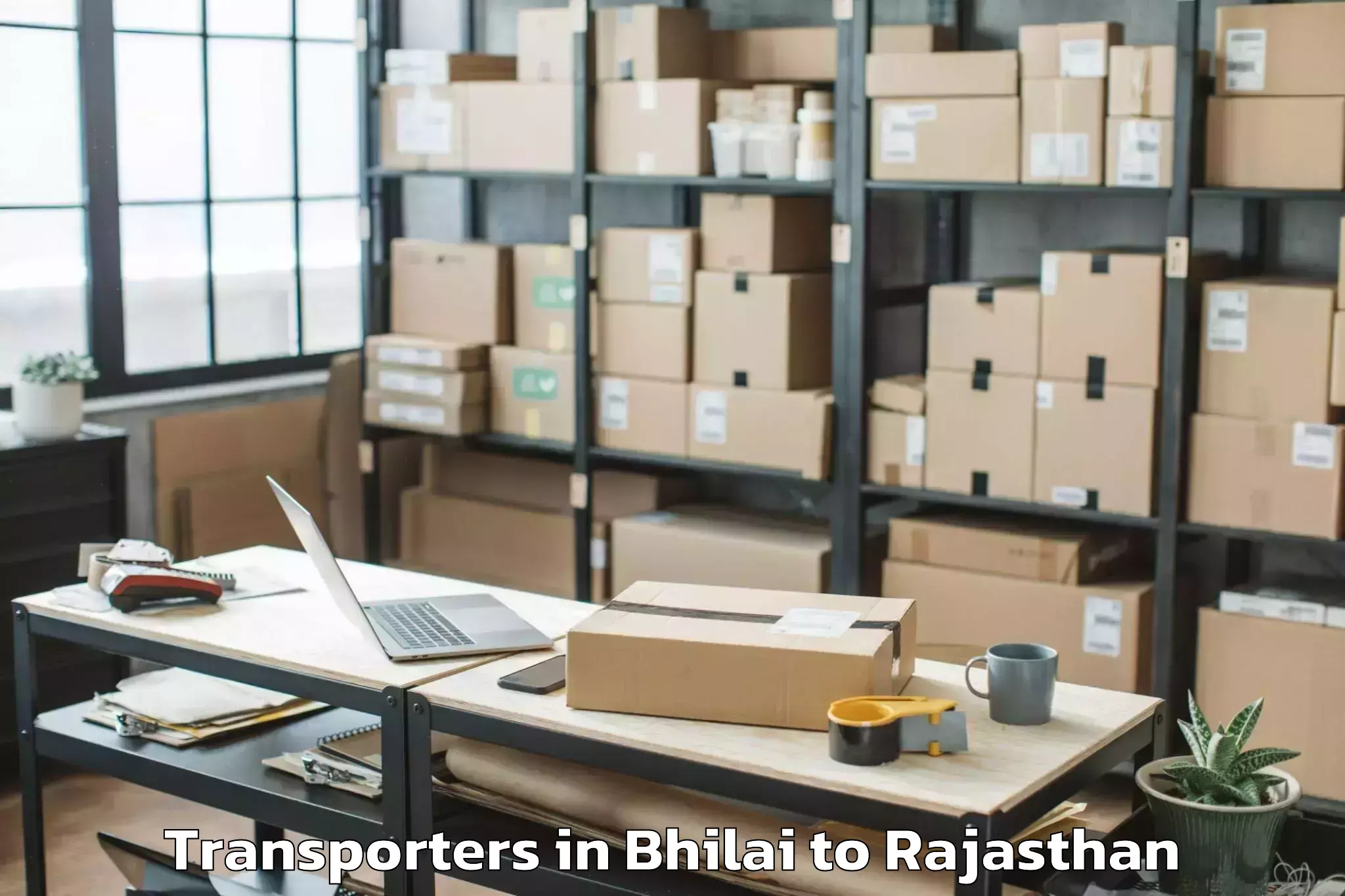 Get Bhilai to Udaipur Transporters